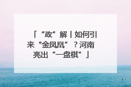 “政”解丨如何引来“金凤凰”？河南亮出“一盘棋”